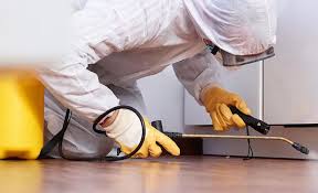 Best Commercial Pest Control  in Lakeview, NY